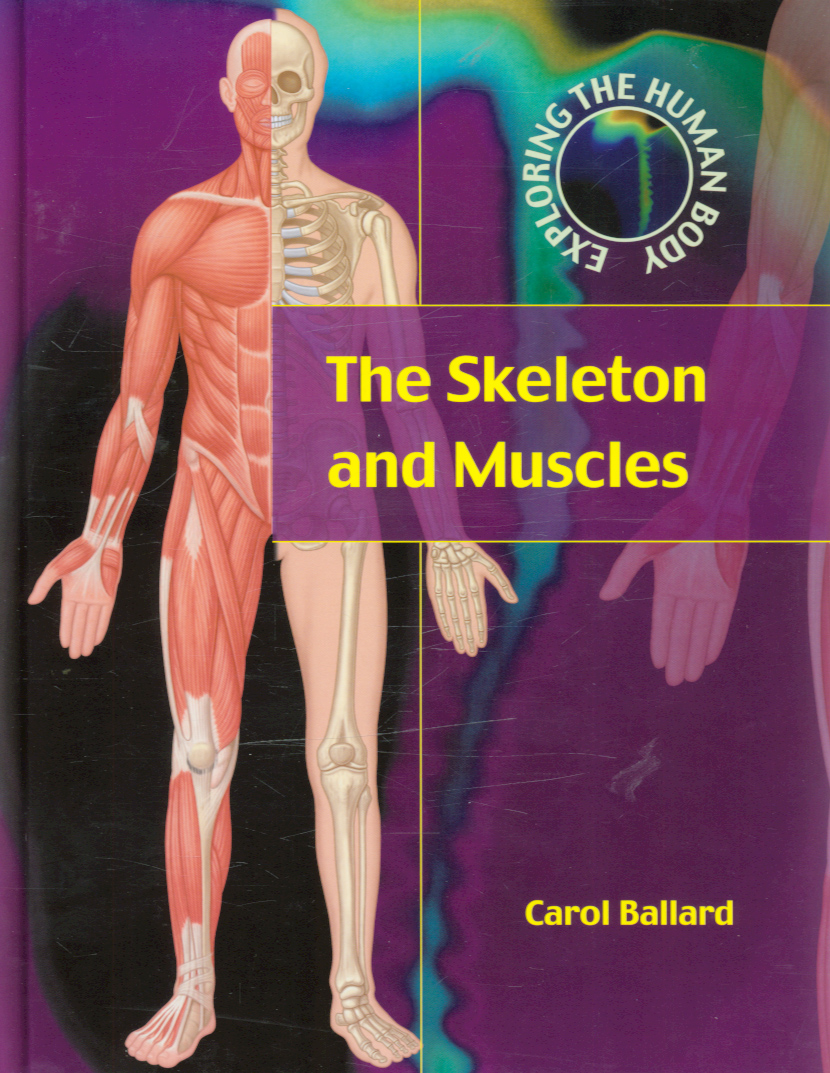 The skeleton and muscles