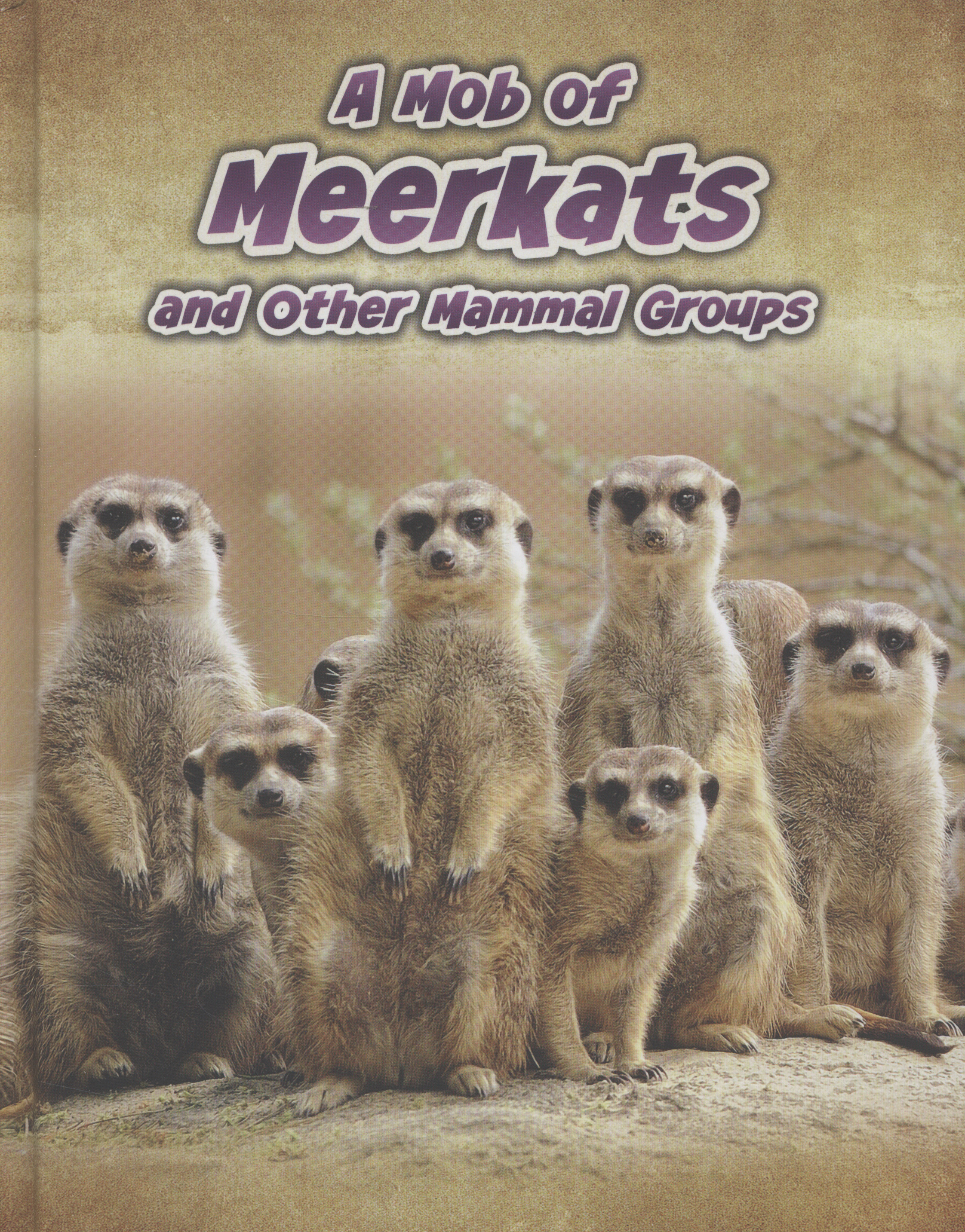 A mob of meerkats and other animal groups