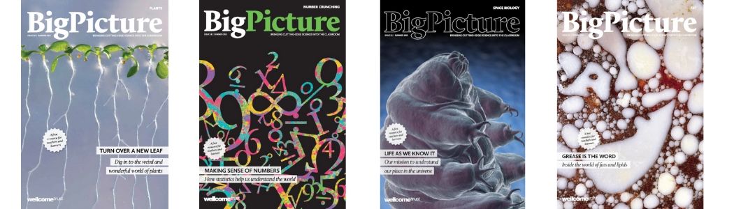 Big Picture magazine front covers