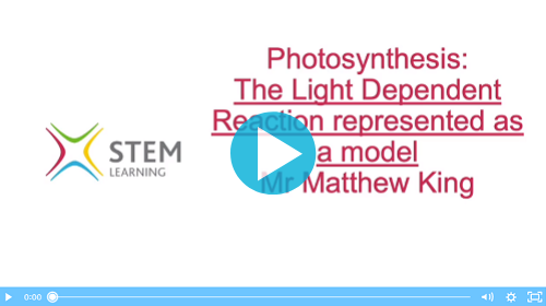 Photosynthesis: a Light Dependent Reaction