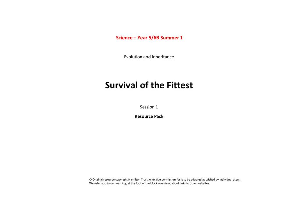 Survival of the Fittest by Primary School, Low Ash