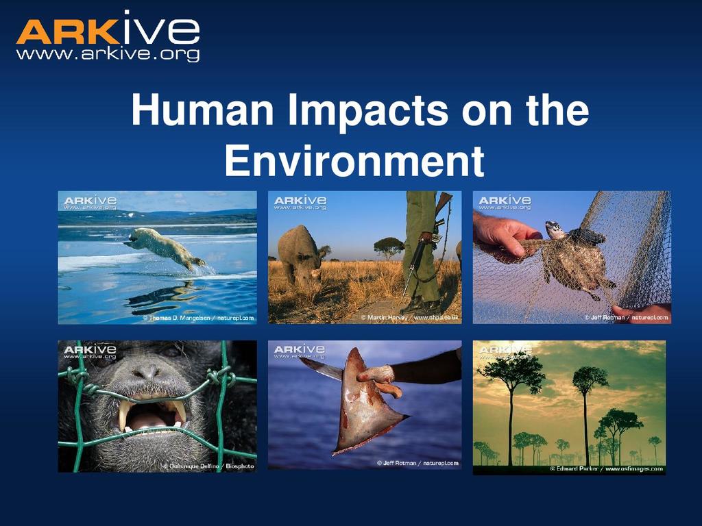 human impact on the environment presentation