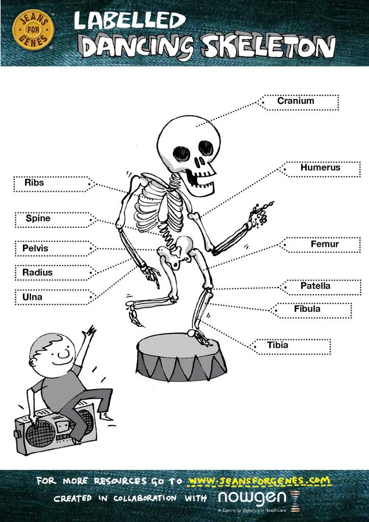 mr-bones-worksheet