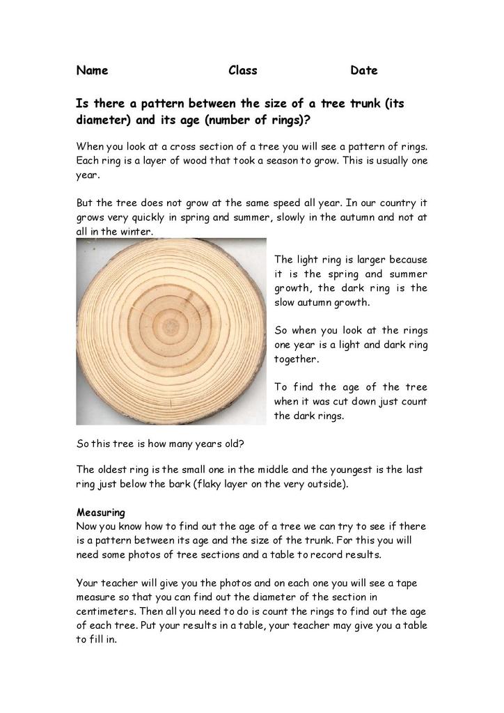 How to Determine the Age of a Tree ? | Tree, Magna carta, Tree rings